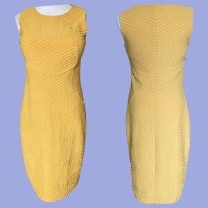 Enfocus Studio Dress